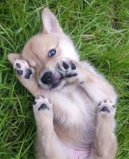 Правда ня ^_^