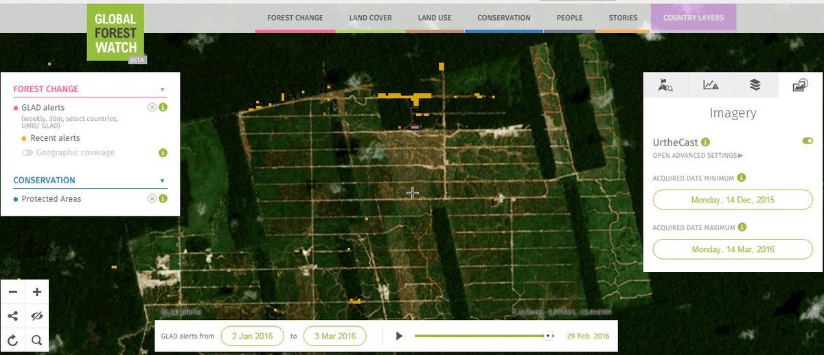 globalforests's tweet photo. #UnitedCacao is at it again. #GLADAlerts detect new clearing in the Tamshiyacu plantation. https://t.co/mvDQh7cLeA https://t.co/SlouM7xQrk