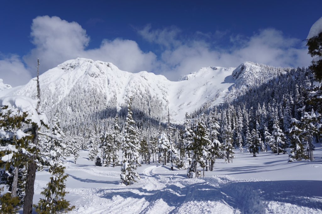 Mt cain has awesome sidecountry terrain! Can you spot our ski tracks, #explorebc #skibc #earnyourturns