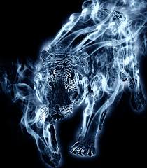 Terrystty's tweet image. *conjura el patronus y este camina a su alrededor* #PrePractED