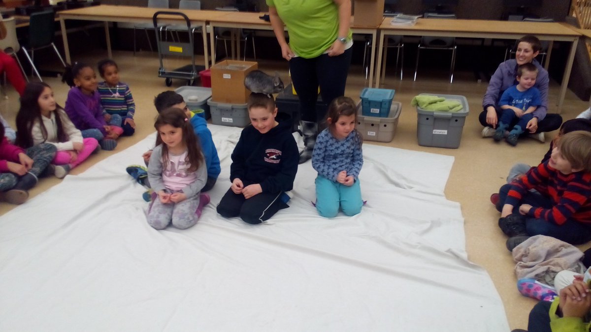 CaledonLibrary's tweet photo. Fun at the latest Zoo To You program. Lucy the chinchilla found an interesting place to sit! #MarchBreak #CPLFun https://t.co/AHAijH6bTB