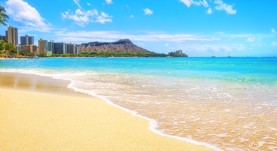 pawprintskylie's tweet image. #bethevoice #springbreakplans "go to the beach." Miranda, 19'