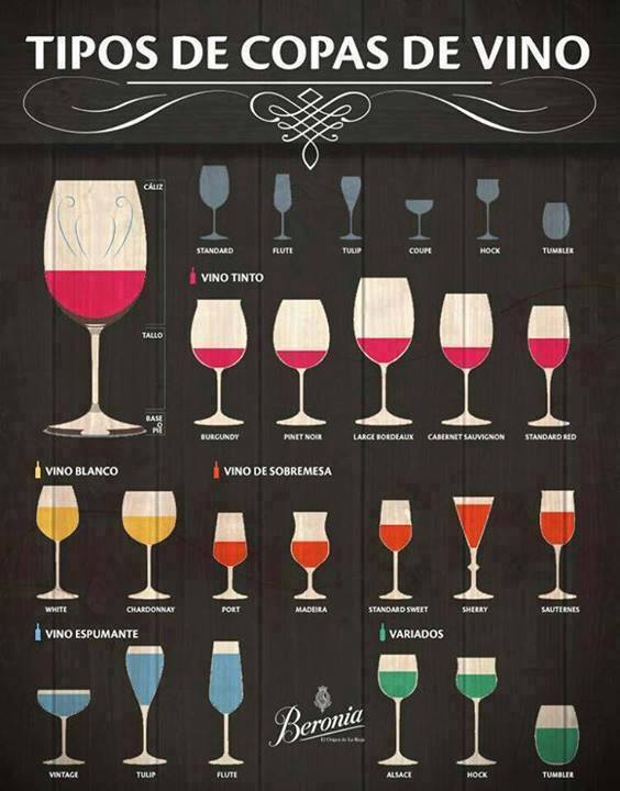 Tipos de copas de vino 🍷 #Vino #Wine #Infografía #Kitchen #Cocina