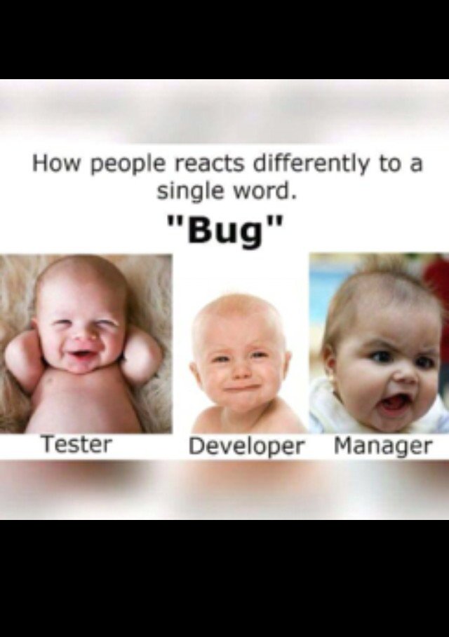 ITviaEgnatia's tweet image. #Bug #Developers #devproblem