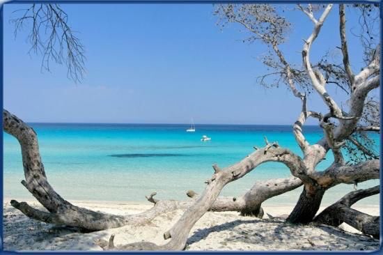 Corsicabeach Hashtag On Twitter - 