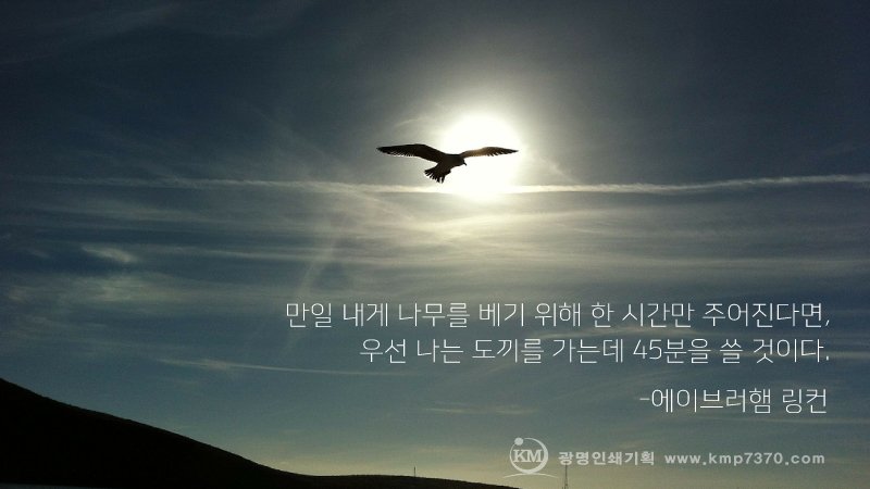 만일 내게 나무를 베기 위한 한 시간만 주어진다면, 우선 나는 도끼를 가는데 45분을 쓸 것이다.<#에이브러햄링컨>

<#광명인쇄기획 #명언 시리즈>