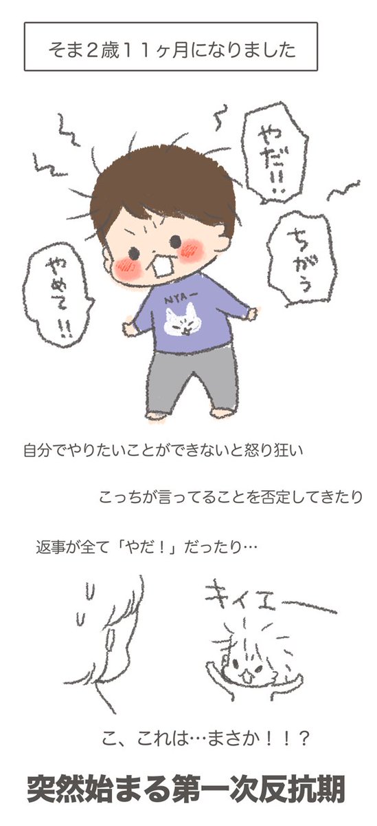 【2歳11ヶ月】あまりの変化に調べた母…笑。これがそうなのか、遅れてきたイヤイヤ期なのか…^^;あんまりイヤイヤ期がはっきりしなかったので分からない…!!