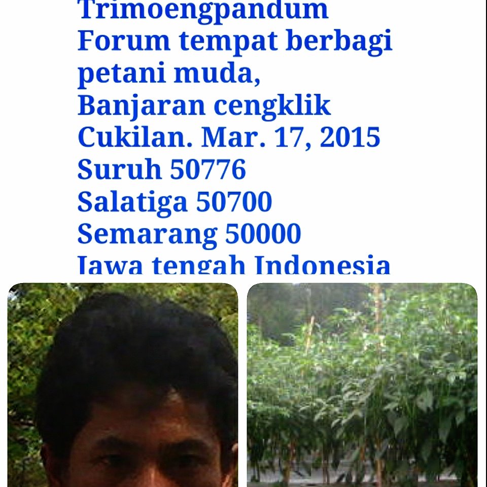 trimo12 tweet picture