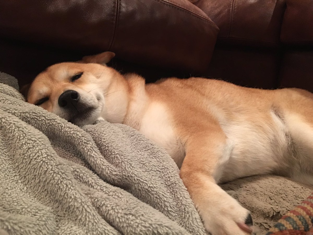 I'm still recovering from that hour of sleep I lost. #DaylightSavingTime