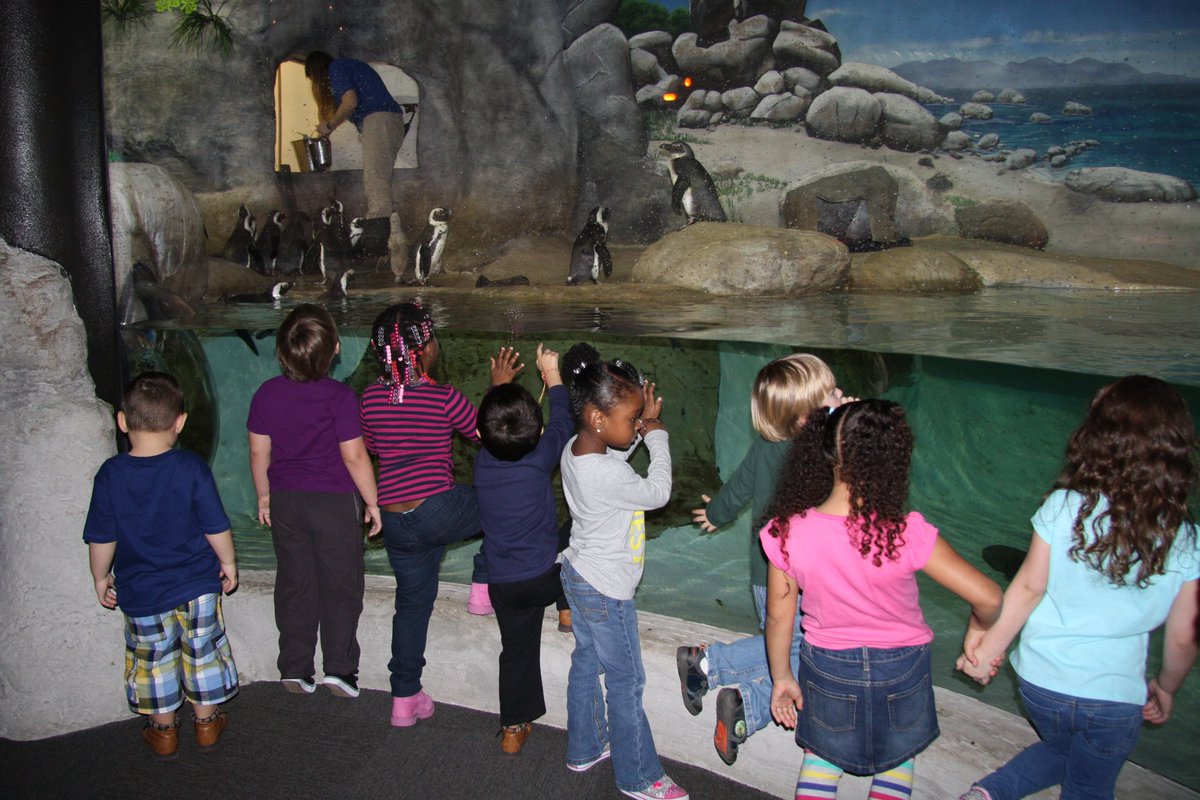ConnellsCrew's tweet photo. A day of fun and learning at the aquarium! A special thanks to the PTA and our awesome chaperones! #firstbustrip https://t.co/kbTsXwR74t