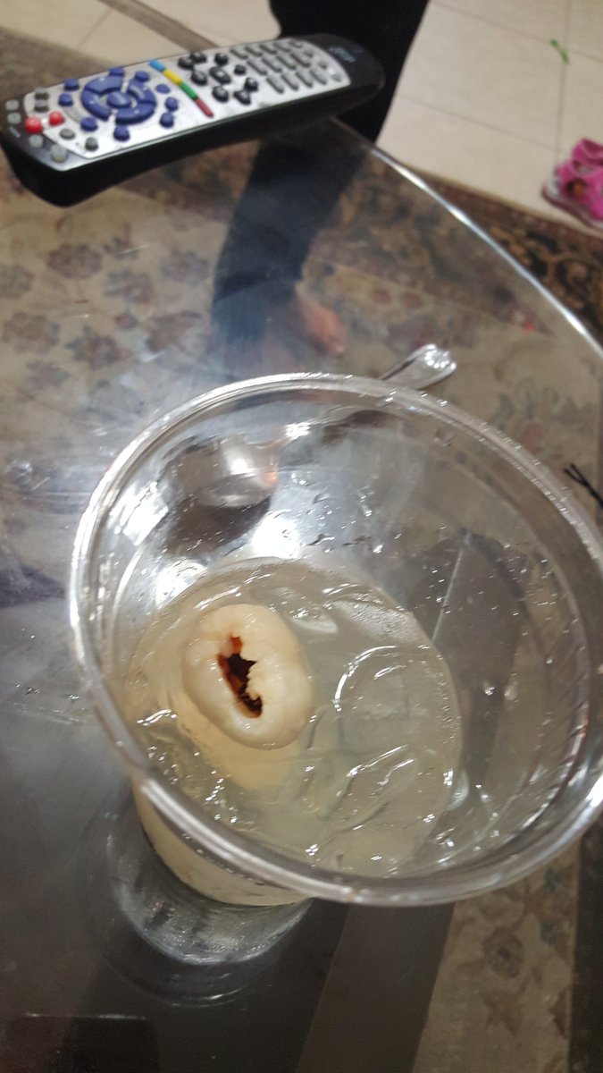 RituK26's tweet image. My friend ordered Lychee cup from #NoodleAsia @VenetianVegas and there was a BEE inside. #Disgusting
@PalazzoVegas