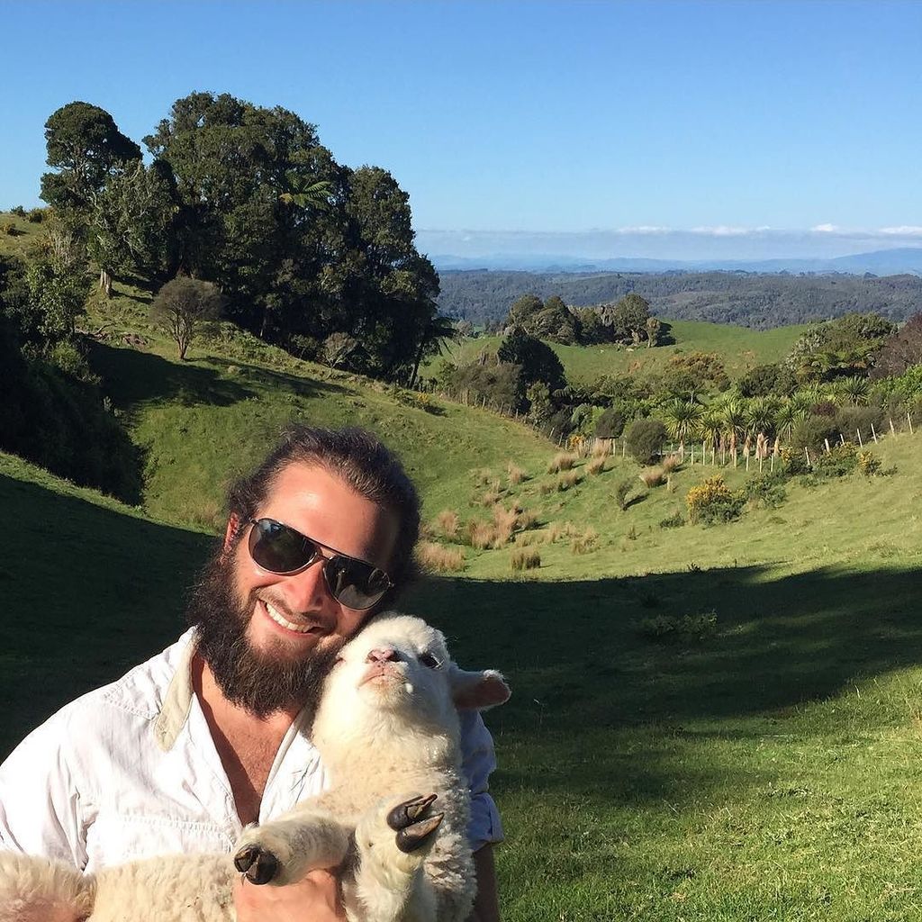 lifebysteve's tweet photo. Some Airbnbs are the absolute best. #lifebysteve #adventure #travel #makelifefun #newzeala… https://t.co/taUb2kD5B4 https://t.co/FEI47aHrmh