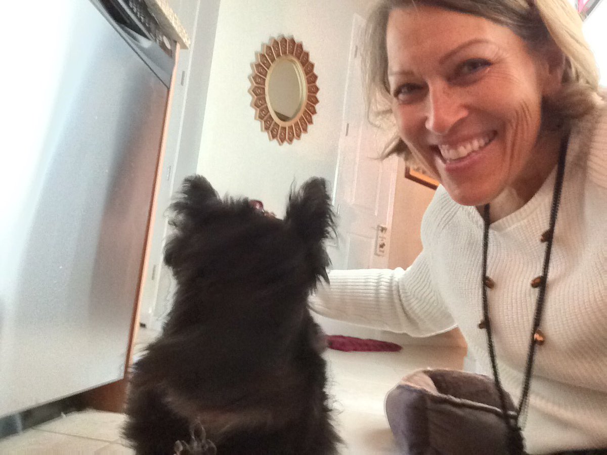 GirlOnTheGoPHX's tweet photo. Afternoon fluff check for this lil guy at One Lexington. Does your pup need an afternoon or 5:00 break? https://t.co/MxJP976l7k