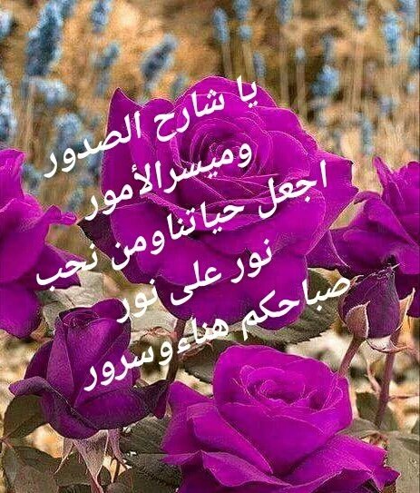 ملكة الاحزان (@rhsl1000) on Twitter photo 
