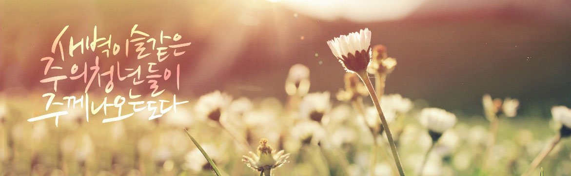 Homepage Main Page ♥