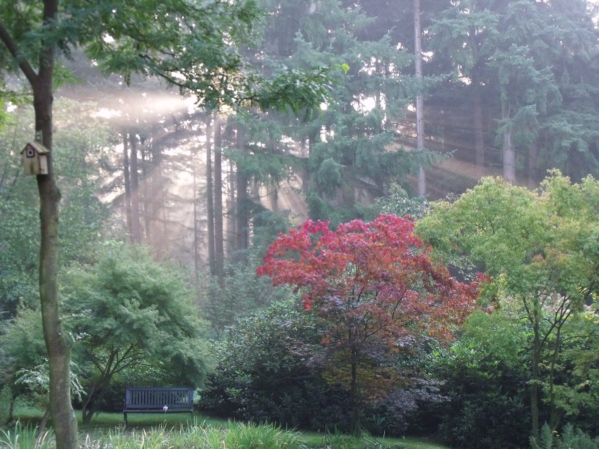 KittyKokvW's tweet photo. Light shining through the haze. Memories 2010 https://t.co/3bJgjAh90Y