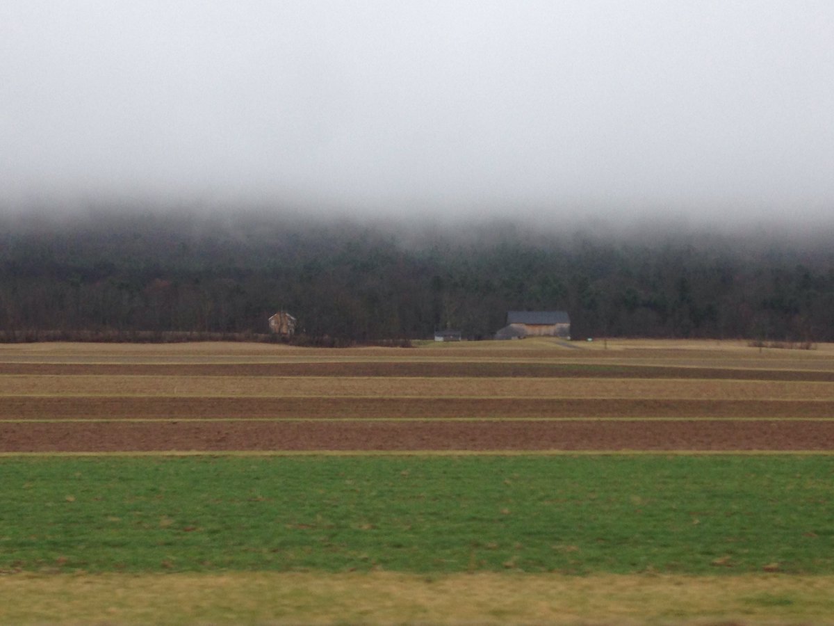 PastoAgMuseum's tweet photo. Misty day on the way to the museum https://t.co/RbvSGdfJj5