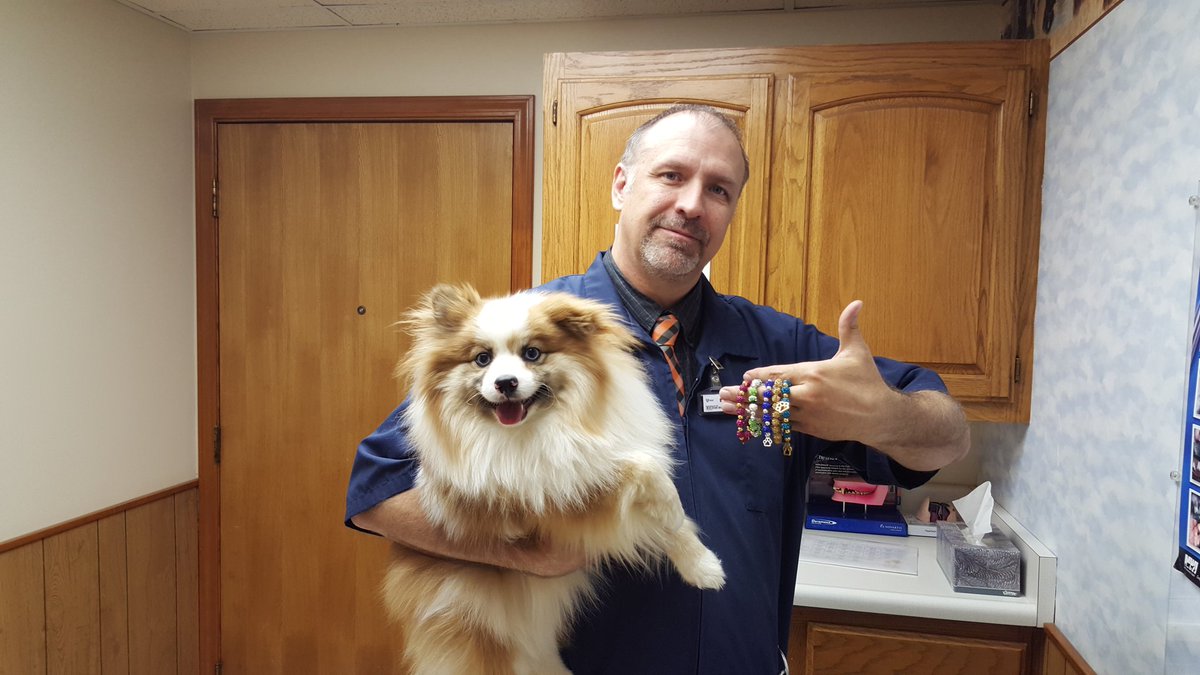 bella_cuff's tweet photo. Bella brought her vet some Bella Cuffs. https://t.co/spvICigxdB