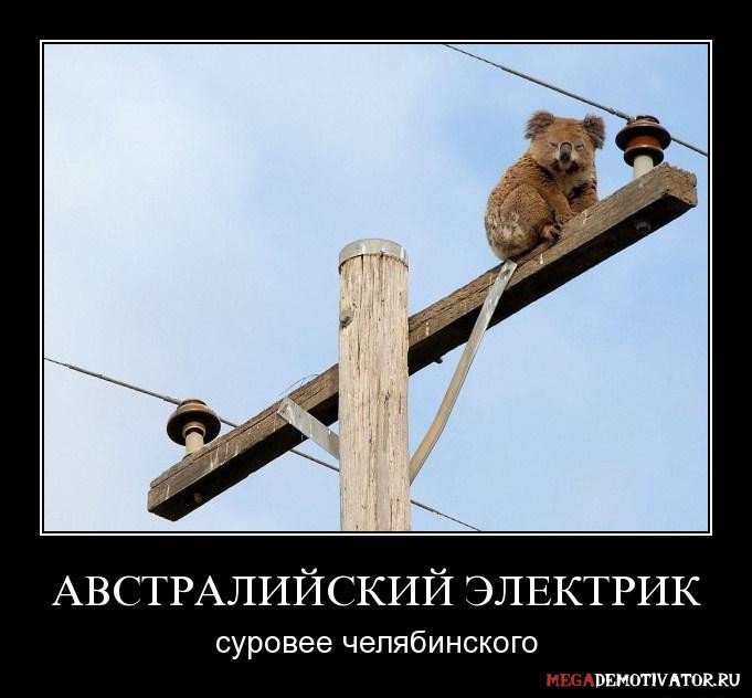filelectric_spb's tweet photo. У электриков один закон: "Или на щите, или под щитом!" https://t.co/6z9V8tqrJB