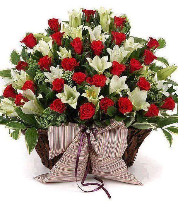 ТА БҮХЭНДЭЭ ЗЭВСЭГТ ХҮЧНИЙ 95 ЖИЛИЙН ОЙ, МОНГОЛ ЦЭРГИЙН 
  БАЯРЫН МЭНД ХҮРГЬЕ. САЙХАН БАЯРЛААРАЙ