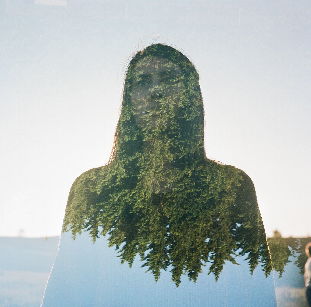 Bayly on Hedge (on Kodak on Rolleiflex).
