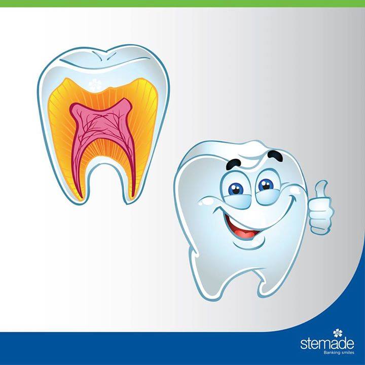 StemadeBiotech's tweet photo. Stem cells from teeth may repair your eyes! Read more: https://t.co/L7mWMLZQTz 
 For more info, SMS TEETH to 56767 https://t.co/W2N58Urrjc