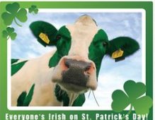 Happy St Patricks Day !