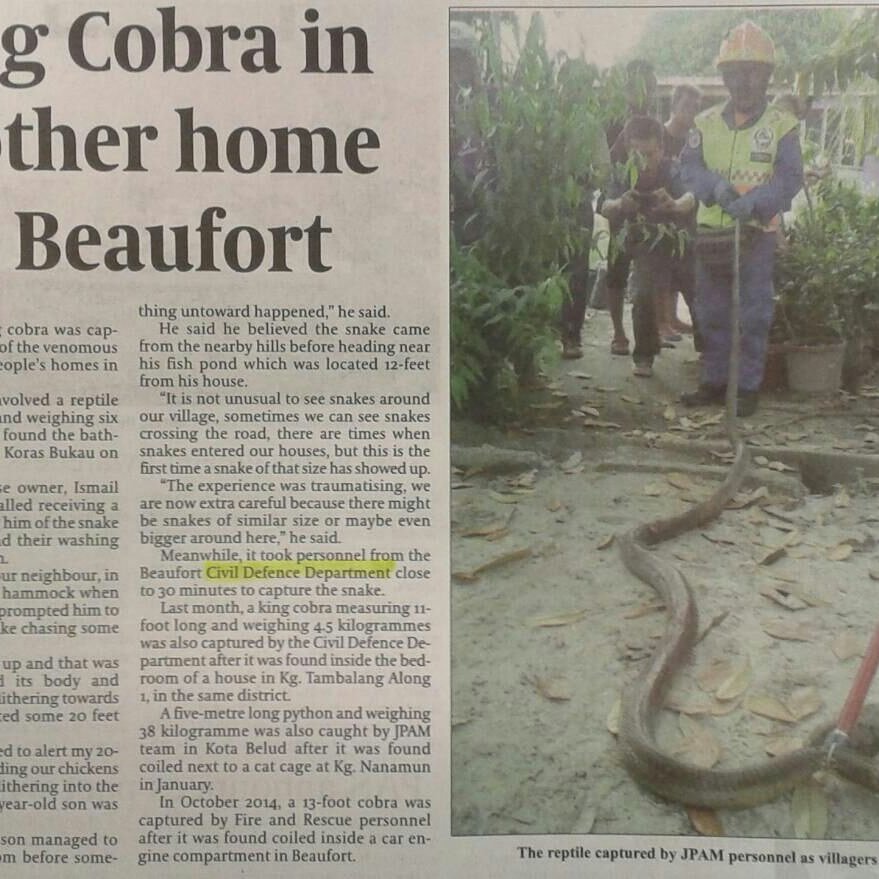 JPAM Beaufort tweet media