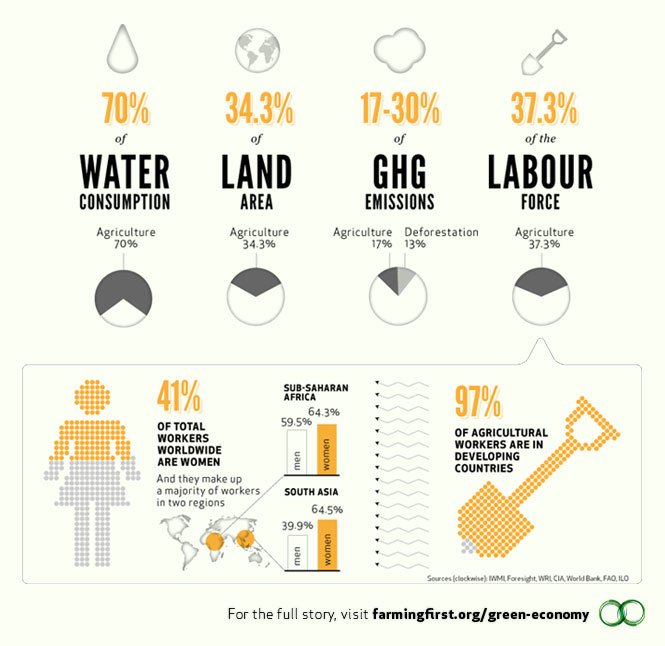 The transition to a green economy could generate up to 60M jobs over the next two decades ow.ly/SNyBs