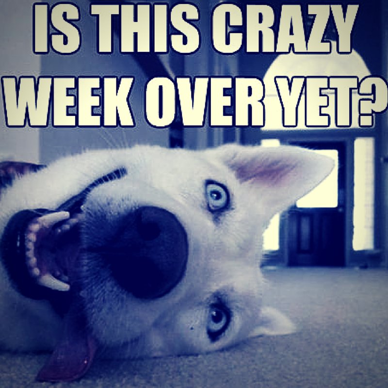 TeledevPH's tweet photo. To those cramming for the long weekend next week, we understand your pain. #TDSFunnies https://t.co/toRLstgRT4