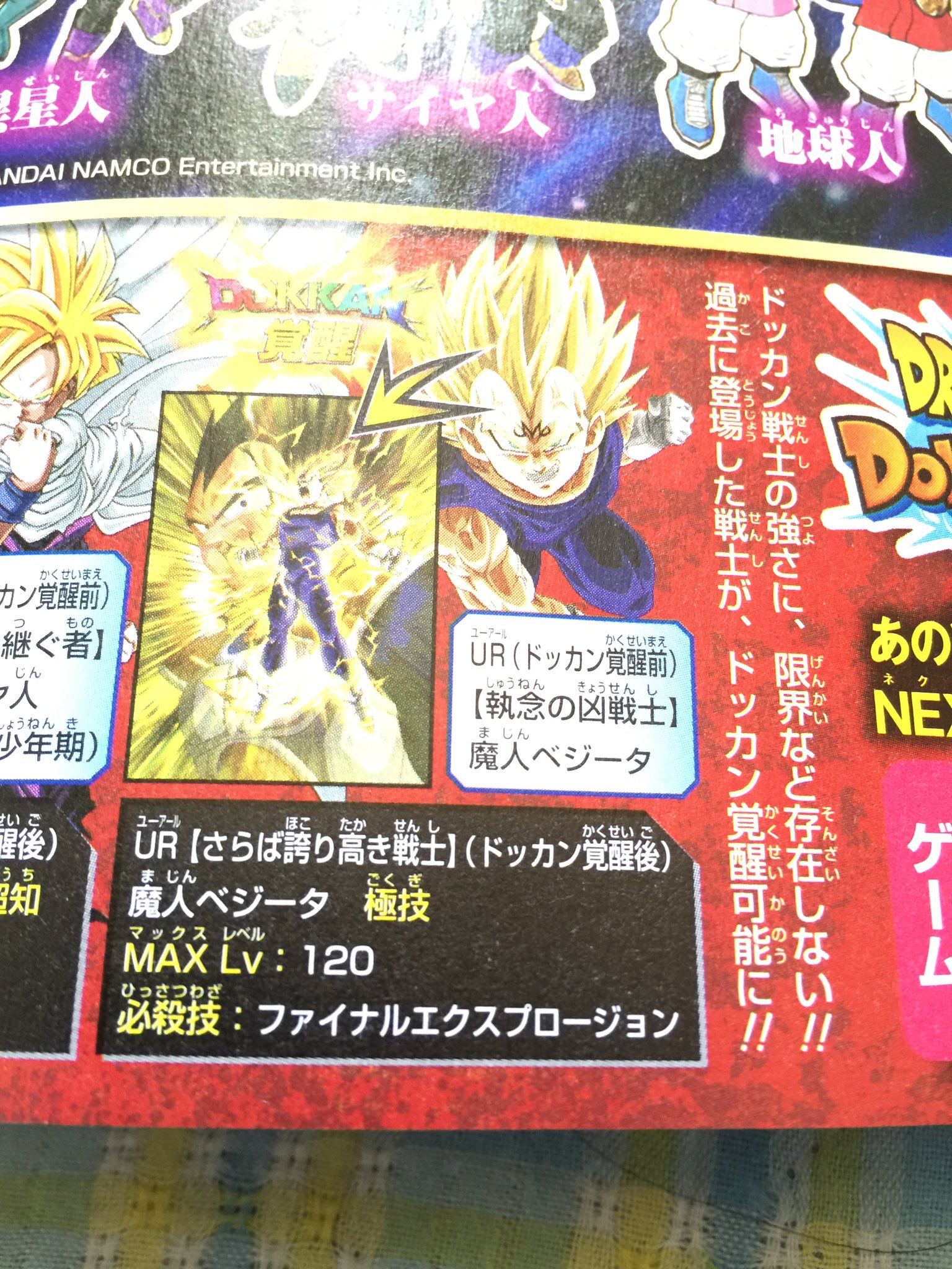 数字で見るドッカンバトル管理人 Taku0128 めっっっちゃ嬉しいですわ さらば誇り高き戦士って名前も気効き過ぎてるし 情報ありがとうございます Twitter