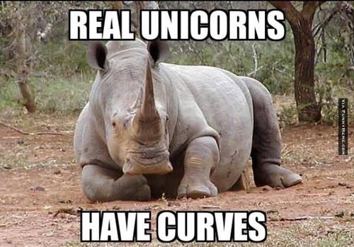SallyStich's tweet photo. Now this is a real unicorn (°.°) https://t.co/kDLQgKNJky
