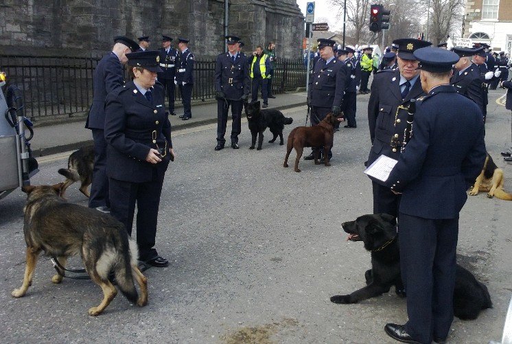 GardaTraffic's tweet image. Gda dog unit all ready!