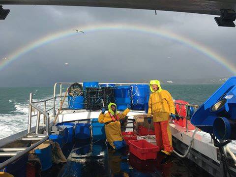 shellfishermen_'s tweet photo. Smashing picture from Nemo of #Salcombe, fishing for #SouthDevonCrab.
#EatMorefish #Eatshellfish #FabCrab https://t.co/bwT4qwgsQ9