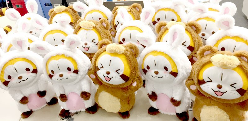 キャラとる Pa Twitter 3月下旬登場 あらいぐまラスカル ふわふわ着ぐるみbigvol 1 が大集合 Lineスタンプでもおなじみの 着ぐるみを着たラスカル君はふわふわで最高の触り心地 詳細はコチラ T Co 6s6wdgkdrs T Co Szdp0kcnxw