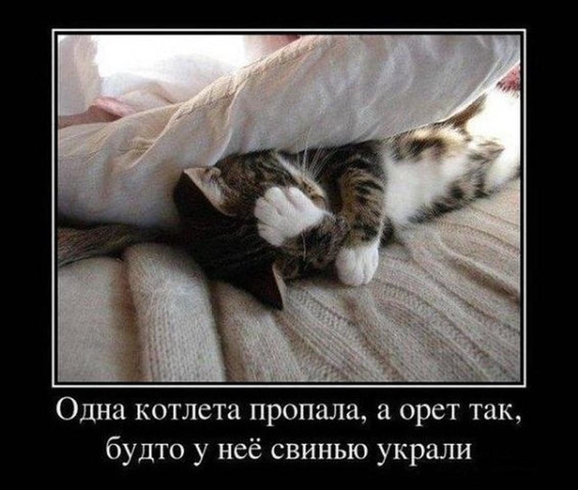 <a href="/Lira_Belaqua/">Lira Belaqua</a> <a href="/jigaretta/">jigaretta</a> <a href="/gals5581/">gals5581</a> <a href="/_shelev_/">Olena</a> <a href="/fm_mode/">frank</a> Доброе утро!