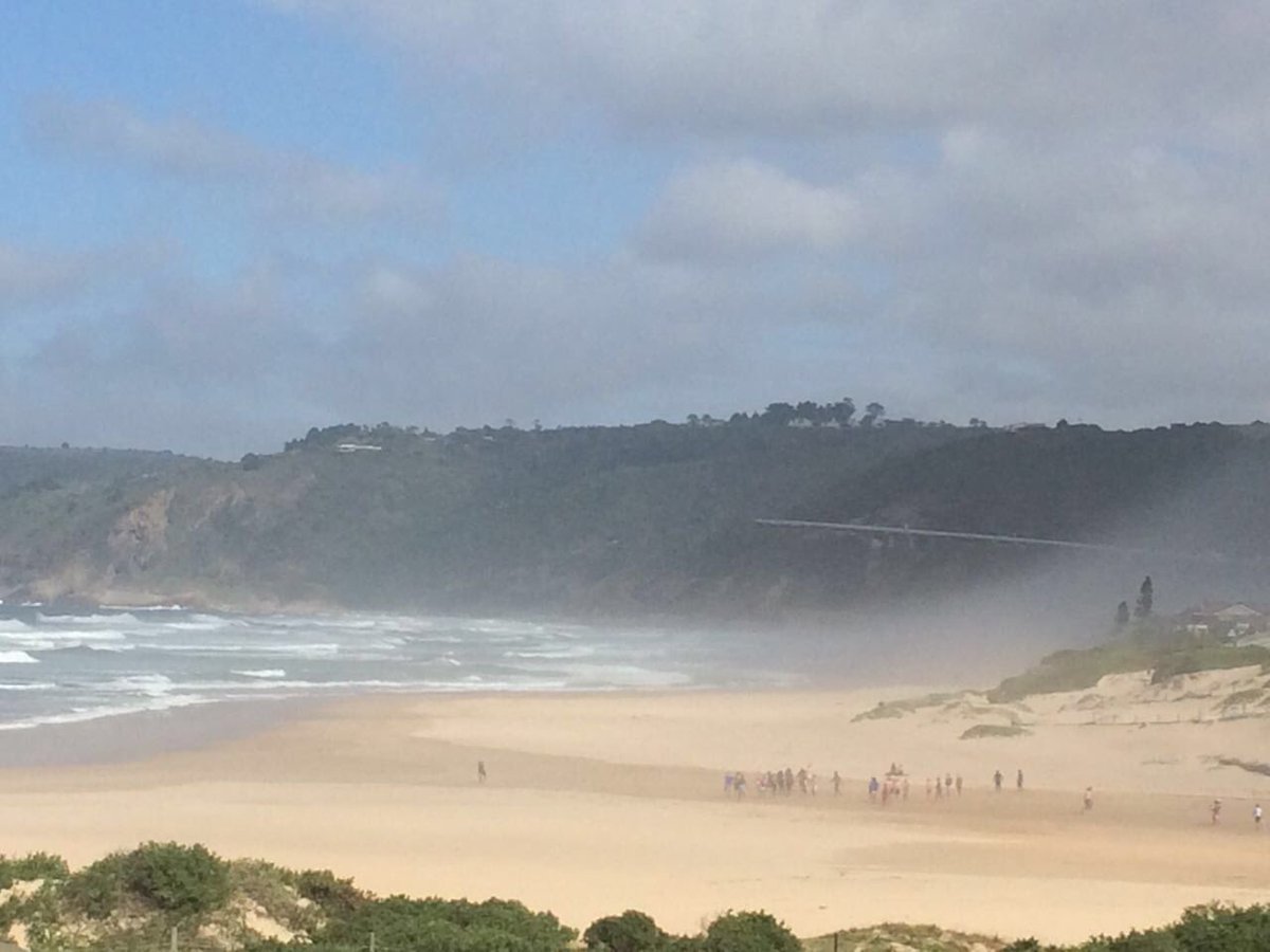 WPRugbyInstit's tweet photo. Spot the morning #WPRI2016 training session! @WP_RUGBY https://t.co/0snz5lpjrQ