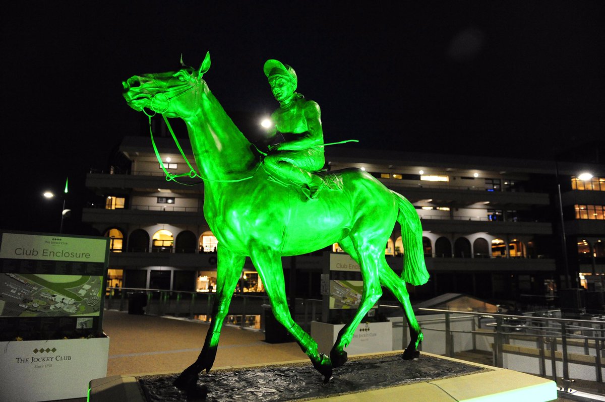 HRIRacing's tweet image. Happy #StPatricksDay from two @CheltenhamRaces #GoldCup legends #Arkle and #DawnRun 🍀🐎🍀 #goracinginireland