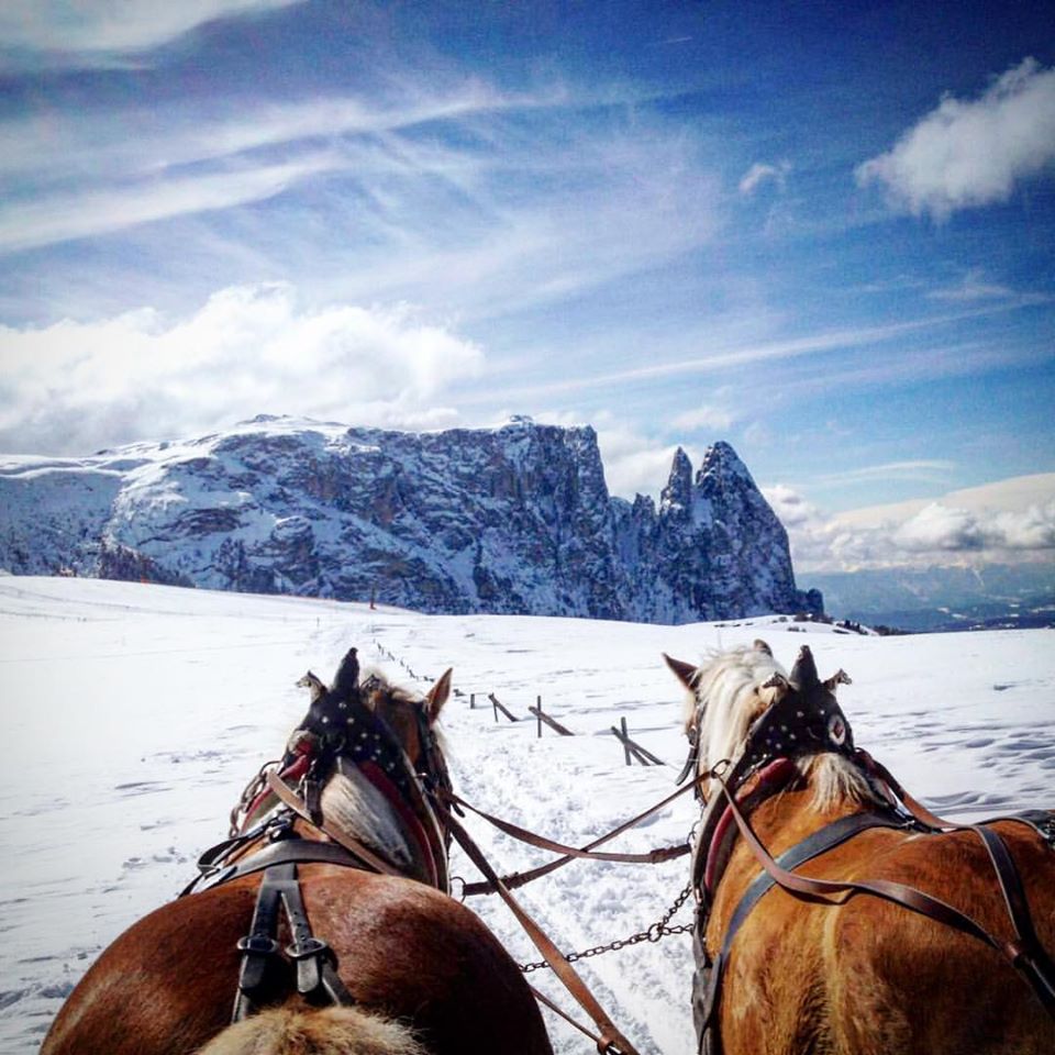 Incredible views... via @dolomitemountains  #dolomitemountains #skisafari #experiences #dolomitesski