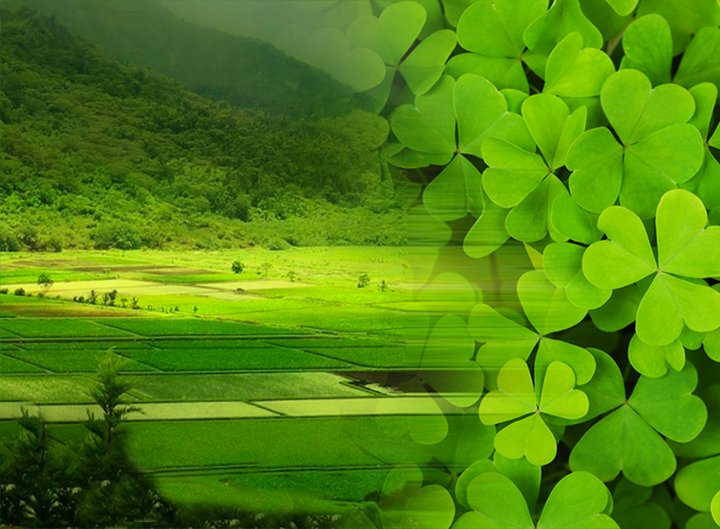 A wise man once said of this day "You don't have to be #Irish to be Irish" #HappyStPatricksDay #Ireland #EmeraldLove