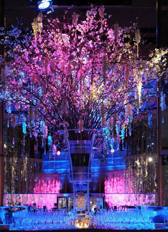 eventfactoryeg's tweet photo. Your dream ....... Our reality https://t.co/XgpEKG5mrW