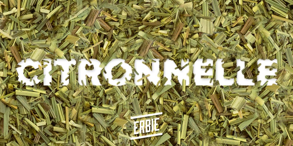 ErbieOrganics's tweet photo. On commence notre tour d'horizon des plantes de la #detox avec la Citronnelle : https://t.co/9AZIJTCFKJ https://t.co/LJ8C5tZtL0