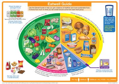 Foodafactoflife's tweet image. New resources! P &amp;amp; S resources to support the new @PHE_uk Eatwell Guide bit.ly/1UBUtfv #EatwellGuide