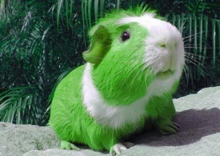 cloudrebecka's tweet photo. Happy St. Patrick's Day! https://t.co/GPHLXk4Lrf