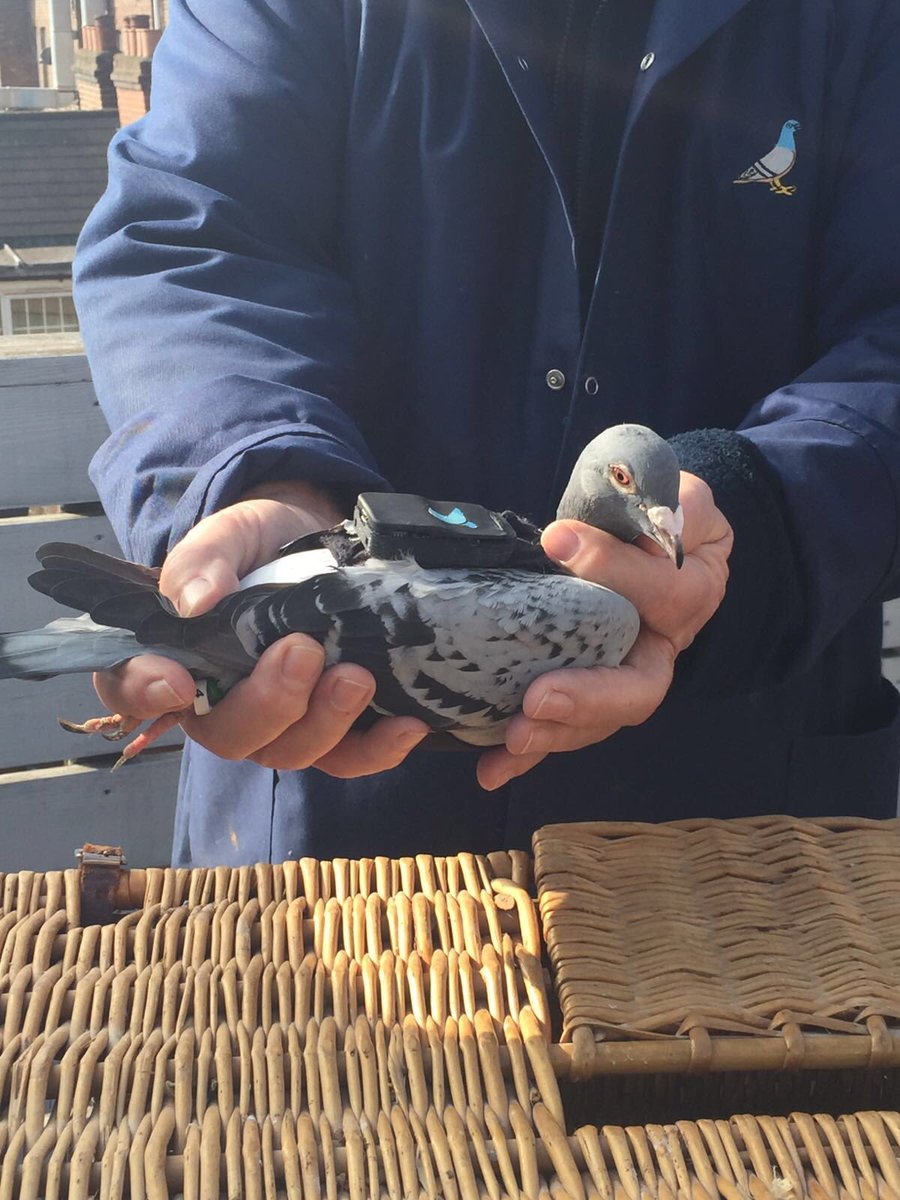 Voir l'image sur Twitter Voir l'image sur Twitter