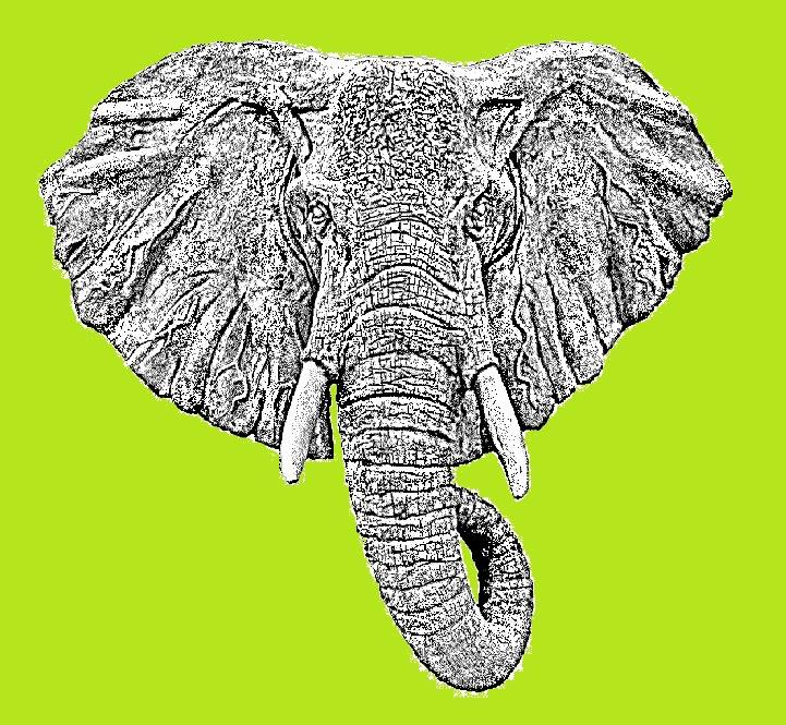 BYOBChoir's tweet photo. Taster session update, few spaces left Thurs 24th 2.30pm Elephant House #beautifulbabyvoices
https://t.co/02kFIJsUzt https://t.co/zmLjaFrE28