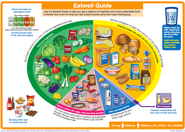 healthyfoodmag's tweet image. The new #EatwellGuide has launched! Read the BNF&apos;s blog on the revisions healthyfood.co.uk/new-eatwell-gu… #nutrition
