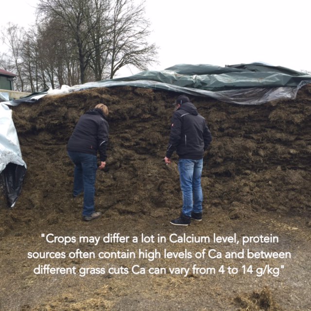 CALFlX's tweet photo. Analyse the Calcium level in your close up diet! #transitionperiod #healthycows #CalFix https://t.co/1l85dWMAJB