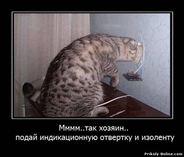 filelectric_spb's tweet image. #честныйЭлектрик Услуги электрика в спб: 
filelectric.com/glavnoe/5-uslu…