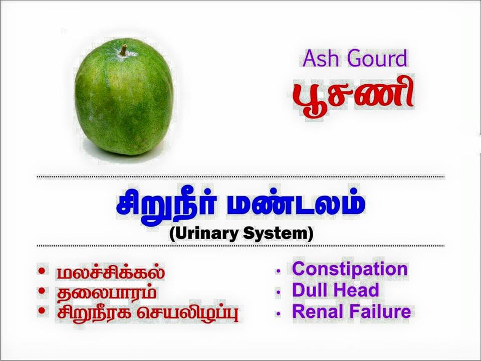 subbaiahkumar8's tweet photo. https://t.co/20QHgtJ8xx
